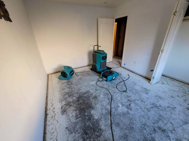 Best Water damage restoration process  in Fort Smith, AR
