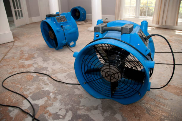 Best 24-hour water damage restoration  in Fort Smith, AR