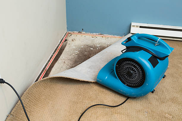 Best Water damage mitigation services  in Fort Smith, AR